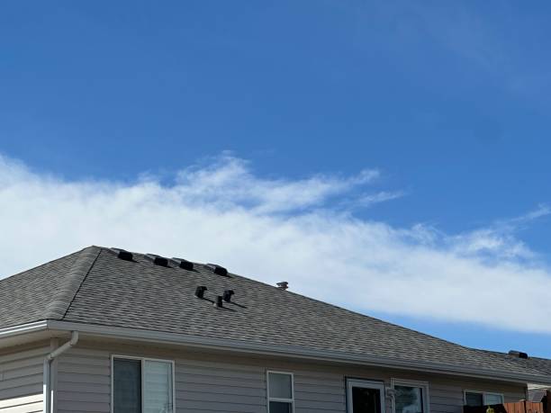 Professional Roofing Service  in Lapeer, MI